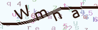 看不清楚？點(diǎn)擊可獲取新的驗(yàn)證碼.