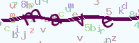 看不清楚？點(diǎn)擊可獲取新的驗(yàn)證碼.