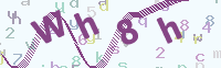 看不清楚？點(diǎn)擊可獲取新的驗(yàn)證碼.