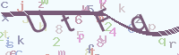 看不清楚？點(diǎn)擊可獲取新的驗(yàn)證碼.