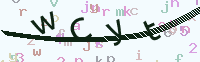 看不清楚？點(diǎn)擊可獲取新的驗(yàn)證碼.