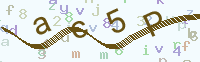 看不清楚？點(diǎn)擊可獲取新的驗(yàn)證碼.
