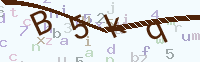 看不清楚？點(diǎn)擊可獲取新的驗(yàn)證碼.