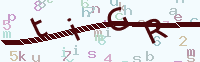 看不清楚？點(diǎn)擊可獲取新的驗(yàn)證碼.