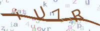 看不清楚？點(diǎn)擊可獲取新的驗(yàn)證碼.