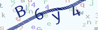 看不清楚？點(diǎn)擊可獲取新的驗(yàn)證碼.