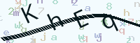 看不清楚？點(diǎn)擊可獲取新的驗(yàn)證碼.