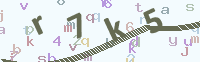 看不清楚？點(diǎn)擊可獲取新的驗(yàn)證碼.
