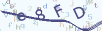 看不清楚？點(diǎn)擊可獲取新的驗(yàn)證碼.