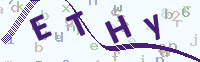 看不清楚？點(diǎn)擊可獲取新的驗(yàn)證碼.