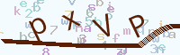 看不清楚？點(diǎn)擊可獲取新的驗(yàn)證碼.
