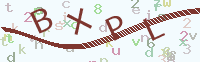 看不清楚？點(diǎn)擊可獲取新的驗(yàn)證碼.