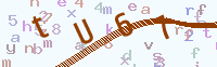 看不清楚？點(diǎn)擊可獲取新的驗(yàn)證碼.