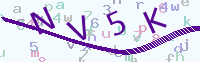 看不清楚？點(diǎn)擊可獲取新的驗(yàn)證碼.