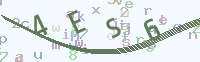 看不清楚？點(diǎn)擊可獲取新的驗(yàn)證碼.