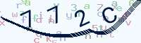 看不清楚？點(diǎn)擊可獲取新的驗(yàn)證碼.