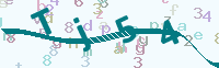 看不清楚？點(diǎn)擊可獲取新的驗(yàn)證碼.