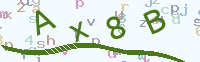 看不清楚？點(diǎn)擊可獲取新的驗(yàn)證碼.