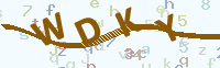 看不清楚？點(diǎn)擊可獲取新的驗(yàn)證碼.