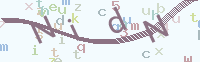 看不清楚？點(diǎn)擊可獲取新的驗(yàn)證碼.