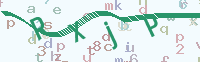 看不清楚？點(diǎn)擊可獲取新的驗(yàn)證碼.
