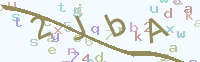 看不清楚？點(diǎn)擊可獲取新的驗(yàn)證碼.