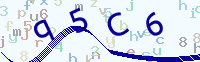 看不清楚？點(diǎn)擊可獲取新的驗(yàn)證碼.