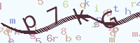 看不清楚？點(diǎn)擊可獲取新的驗(yàn)證碼.