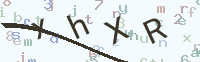 看不清楚？點(diǎn)擊可獲取新的驗(yàn)證碼.