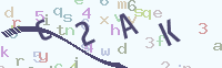 看不清楚？點(diǎn)擊可獲取新的驗(yàn)證碼.