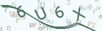 看不清楚？點(diǎn)擊可獲取新的驗(yàn)證碼.