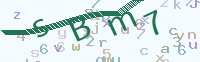 看不清楚？點(diǎn)擊可獲取新的驗(yàn)證碼.
