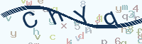 看不清楚？點(diǎn)擊可獲取新的驗(yàn)證碼.