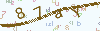 看不清楚？點(diǎn)擊可獲取新的驗(yàn)證碼.