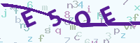 看不清楚？點(diǎn)擊可獲取新的驗(yàn)證碼.