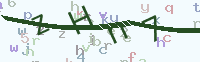 看不清楚？點(diǎn)擊可獲取新的驗(yàn)證碼.