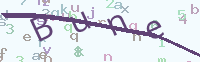 看不清楚？點(diǎn)擊可獲取新的驗證碼.
