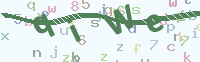 看不清楚？點(diǎn)擊可獲取新的驗(yàn)證碼.