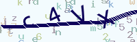 看不清楚？點(diǎn)擊可獲取新的驗(yàn)證碼.