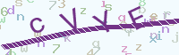 看不清楚？點(diǎn)擊可獲取新的驗(yàn)證碼.