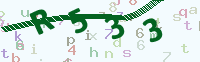 看不清楚？點(diǎn)擊可獲取新的驗(yàn)證碼.