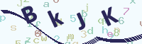 看不清楚？點(diǎn)擊可獲取新的驗(yàn)證碼.