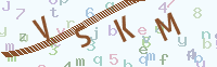 看不清楚？點(diǎn)擊可獲取新的驗(yàn)證碼.