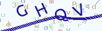 看不清楚？點(diǎn)擊可獲取新的驗(yàn)證碼.