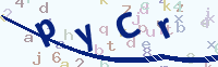 看不清楚？點(diǎn)擊可獲取新的驗(yàn)證碼.