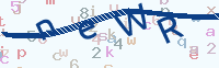 看不清楚？點(diǎn)擊可獲取新的驗(yàn)證碼.