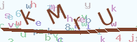 看不清楚？點(diǎn)擊可獲取新的驗(yàn)證碼.