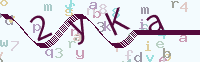 看不清楚？點(diǎn)擊可獲取新的驗(yàn)證碼.