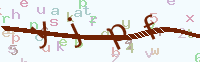 看不清楚？點(diǎn)擊可獲取新的驗(yàn)證碼.