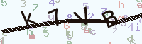 看不清楚？點(diǎn)擊可獲取新的驗(yàn)證碼.
